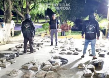 Secuestraron marihuana valuada en más de 460 millones de pesos