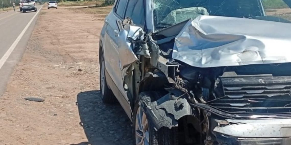 Laguna Yema: motociclista murió tras chocar con un automóvil en la ruta nacional 81