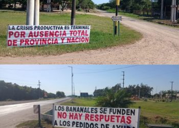 Productores bananeros de Formosa activan un plan de lucha y advierten una «crisis terminal»