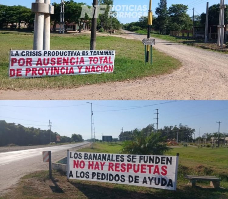 Productores bananeros de Formosa activan un plan de lucha y advierten una «crisis terminal»