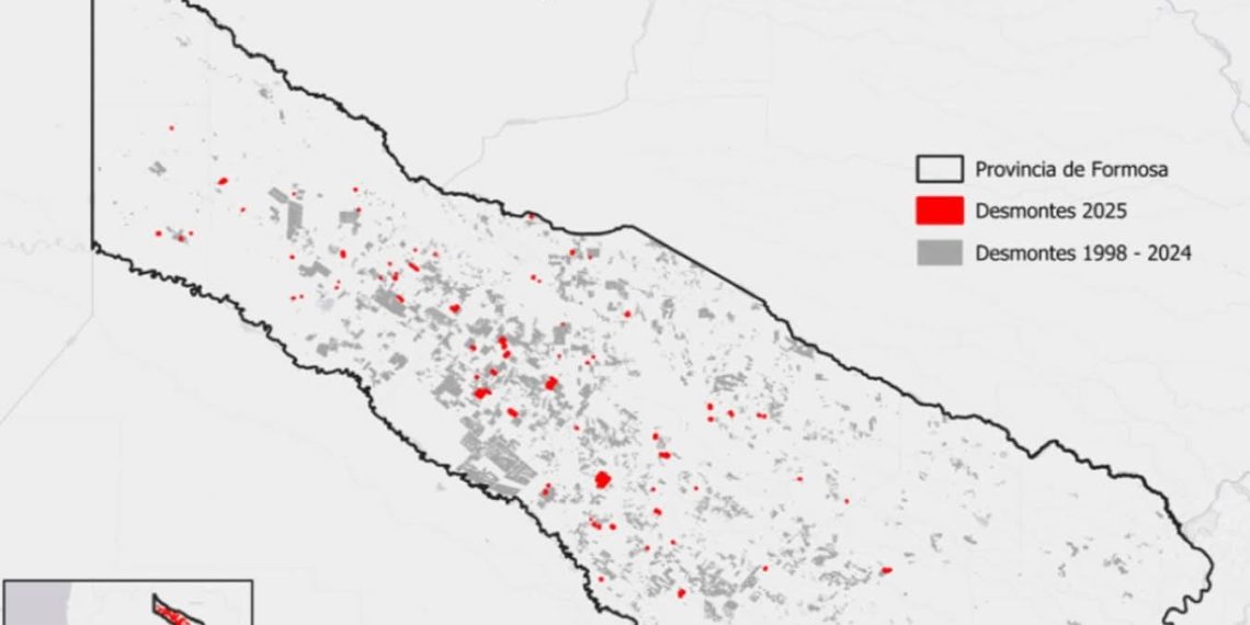 Formosa: más de 33 mil hectáreas de bosque afectadas durante 2025 por incendios y desmontes