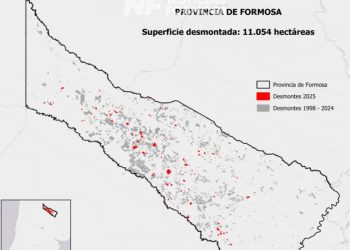 Formosa: más de 33 mil hectáreas de bosque afectadas durante 2025 por incendios y desmontes