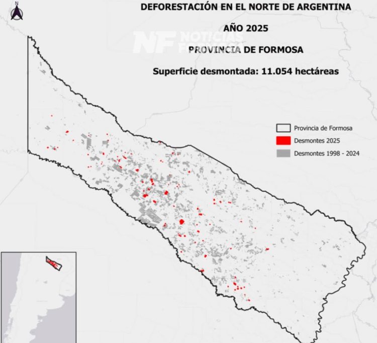 Formosa: más de 33 mil hectáreas de bosque afectadas durante 2025 por incendios y desmontes