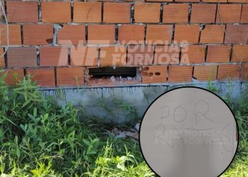 Ladrones ingresaron a robar a un corralón mediante un «boquete» y dejaron una nota: «por ratas»