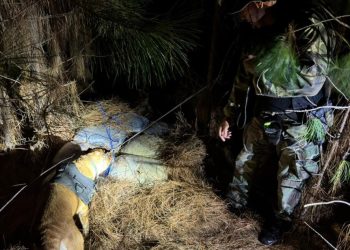 Prefectura secuestró más de 268 kilos de droga