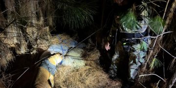 Prefectura secuestró más de 268 kilos de droga