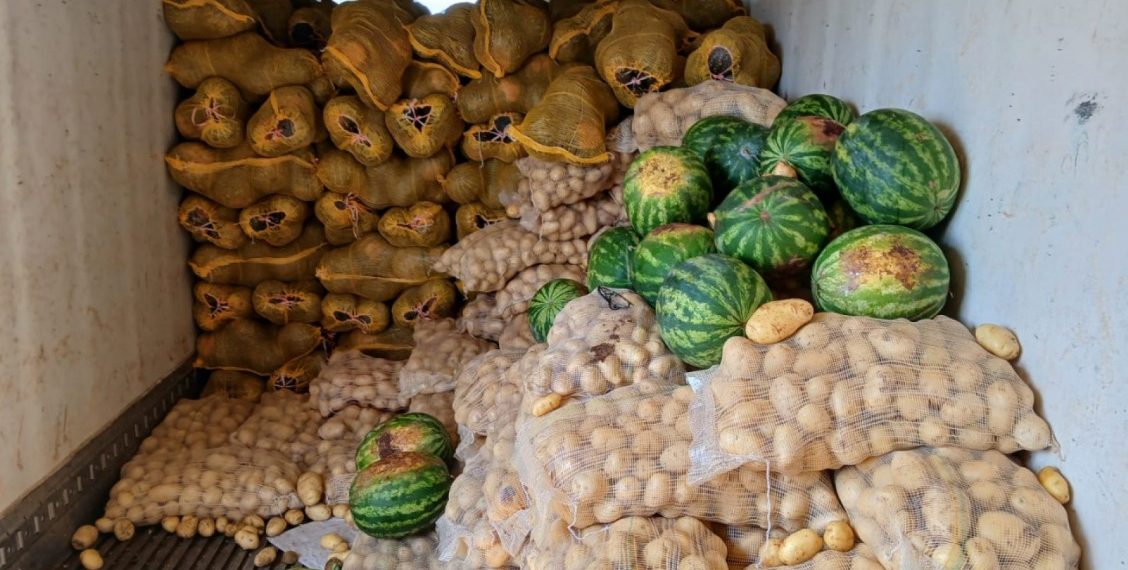 Corrientes: Detectan más de 20 toneladas de frutas con documentación irregular y riesgo sanitario