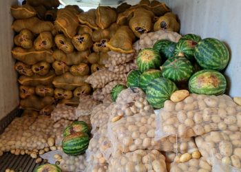 Corrientes: Detectan más de 20 toneladas de frutas con documentación irregular y riesgo sanitario