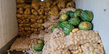 Corrientes: Detectan más de 20 toneladas de frutas con documentación irregular y riesgo sanitario