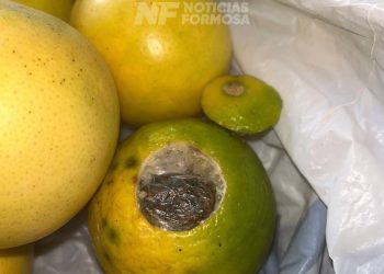 Intentó ingresar marihuana dentro de un limón para un detenido pero fue descubierto