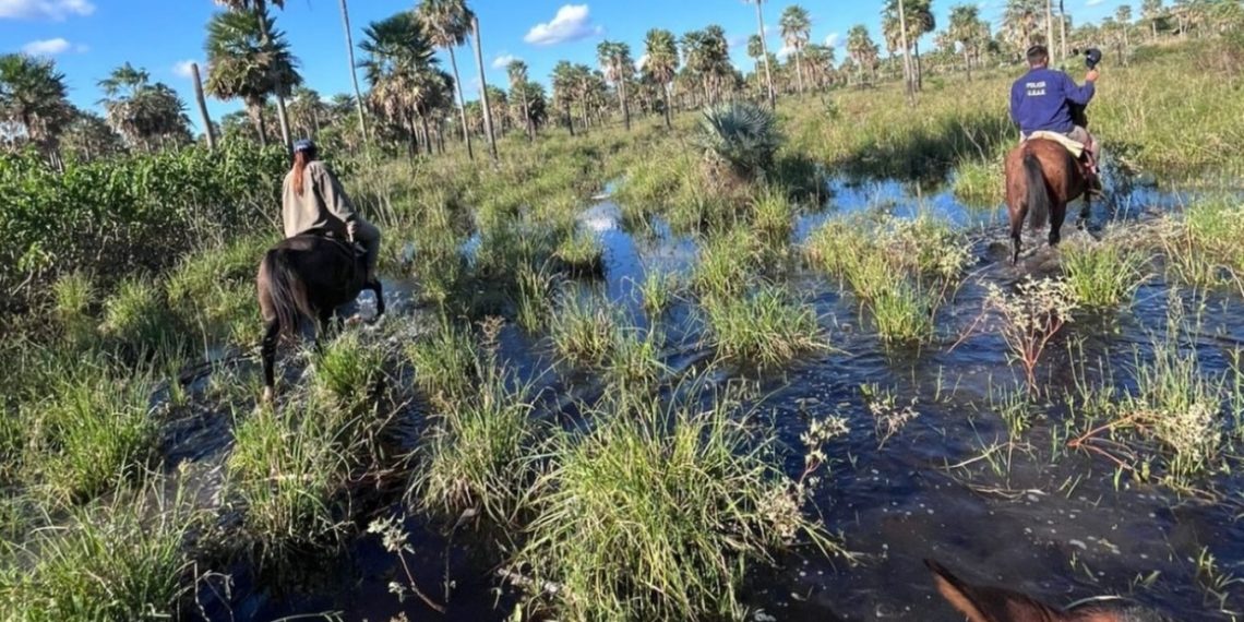 Hallaron sin vida a un hombre tras un operativo de búsqueda en colonia La Unión