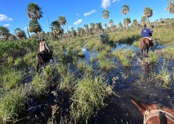 Hallaron sin vida a un hombre tras un operativo de búsqueda en colonia La Unión