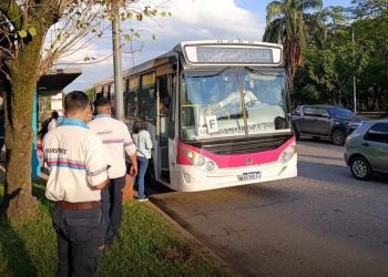 Formosa mantiene el servicio nocturno de colectivos y descarta recortes