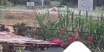 Ibarreta: adolescente de 13 años en terapia intensiva tras ser arrollada la moto en que iba de acompañante