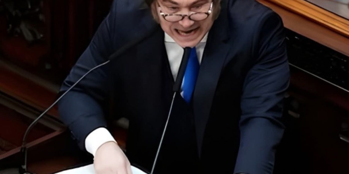 Javier Milei: «no me van a llevar puesto como a Macri»