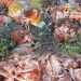 Hallazgo de casi un centenar de gallinas muertas en la vía pública alertó a vecinos en la zona norte