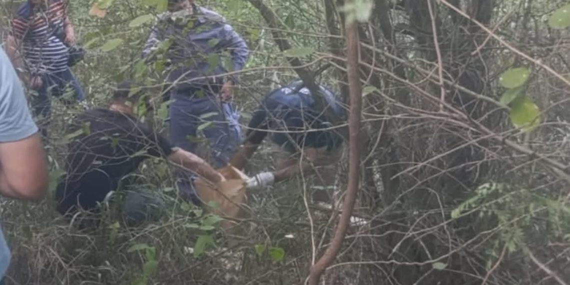 Macabro: hallaron restos óseos humanos en una zona descampada de Clorinda