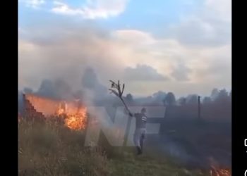 Un incendio se desató en inmediaciones a edificaciones en el acceso sur
