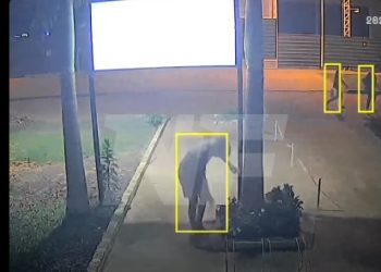 Denuncian reiterados robos de plantas en una iglesia del barrio San Juan Bautista