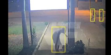 Denuncian reiterados robos de plantas en una iglesia del barrio San Juan Bautista