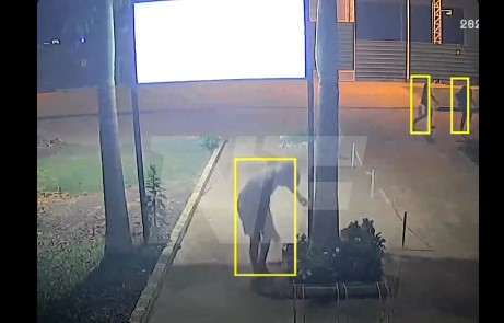 Denuncian reiterados robos de plantas en una iglesia del barrio San Juan Bautista