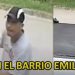A plena luz del día: Ladrón se llevó una caja de herramientas de una camioneta estacionada