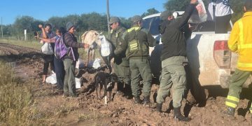 Chaco: Gendarmes acompañaron en la entrega de alimentos a familias que fueron afectadas por las lluvias