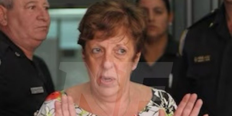 Causa Nisman: piden el procesamiento de Viviana Fein por encubrimiento agravado