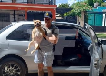 Nuevo emprendimiento formoseño: llegó el taxi para perros y gatos