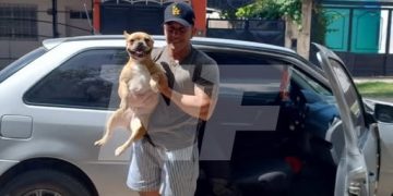 Nuevo emprendimiento formoseño: llegó el taxi para perros y gatos