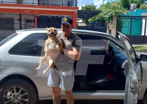Nuevo emprendimiento formoseño: llegó el taxi para perros y gatos
