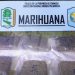 Secuestran casi 6 kilogramos de marihuana en un operativo en la ciudad de Formosa