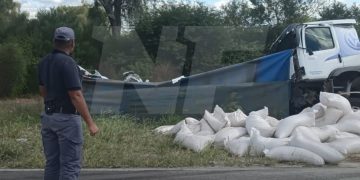 Confirman el fallecimiento de toda una familia en el siniestro vial de la ruta nacional 81