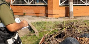 Refuerzan controles para prevenir microbasurales en los barrios