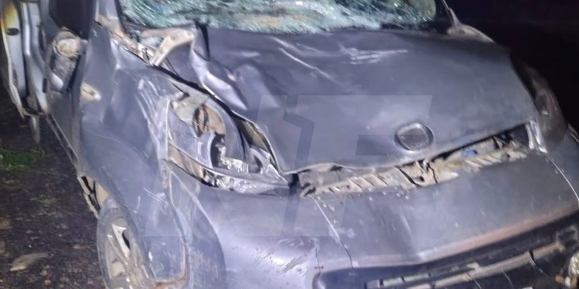 Peligro en la ruta 81: un vehículo embistió a un animal suelto en horario nocturno