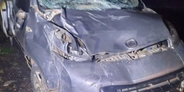 Peligro en la ruta 81: un vehículo embistió a un animal suelto en horario nocturno