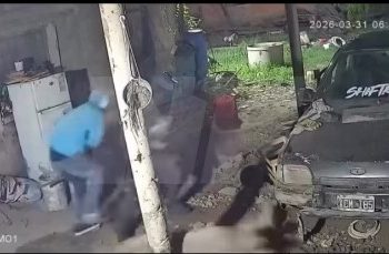 Clorinda: delincuentes se robaron dos lechones de una vivienda y quedaron filmados