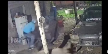 Clorinda: delincuentes se robaron dos lechones de una vivienda y quedaron filmados