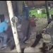 Clorinda: delincuentes se robaron dos lechones de una vivienda y quedaron filmados