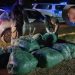 Condenaron a un gendarme por transportar casi 140 kilos de marihuana en Chaco