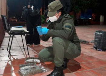 Gendarmería halló más de 28 kilos de marihuana a la vera de la ruta