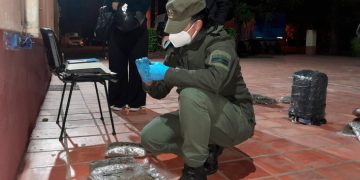 Gendarmería halló más de 28 kilos de marihuana a la vera de la ruta