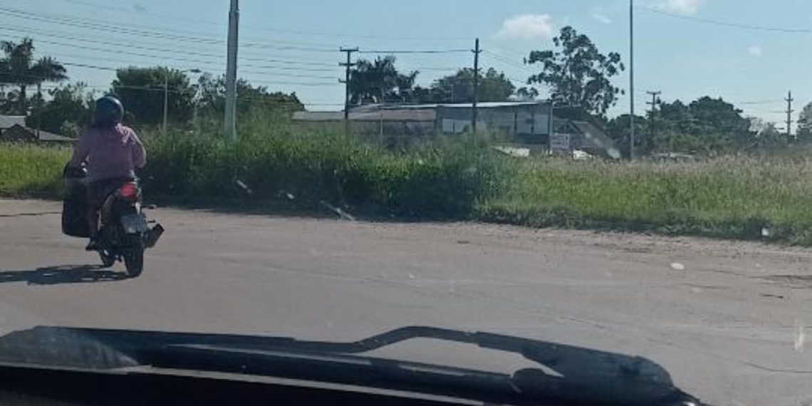 Pastizal en rotondas de la avenida Gendarmería Nacional impide visibilidad de conductores