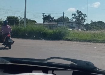 Pastizal en rotondas de la avenida Gendarmería Nacional impide visibilidad de conductores