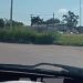 Pastizal en rotondas de la avenida Gendarmería Nacional impide visibilidad de conductores