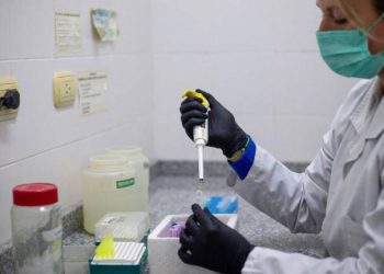 Se detectaron tres nuevos casos de hantavirus en Argentina y el número de contagios se eleva a 105