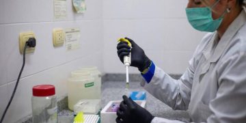 Se detectaron tres nuevos casos de hantavirus en Argentina y el número de contagios se eleva a 105