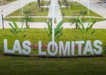 Constitucionalista apuntó contra el STJ de Formosa: «Es una vergüenza jurídica»