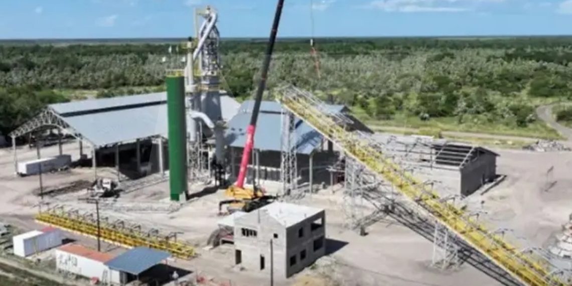 Formosa fortalece su perfil exportador con carbón vegetal y arrabio verde