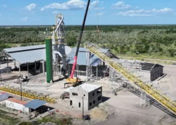 Formosa fortalece su perfil exportador con carbón vegetal y arrabio verde